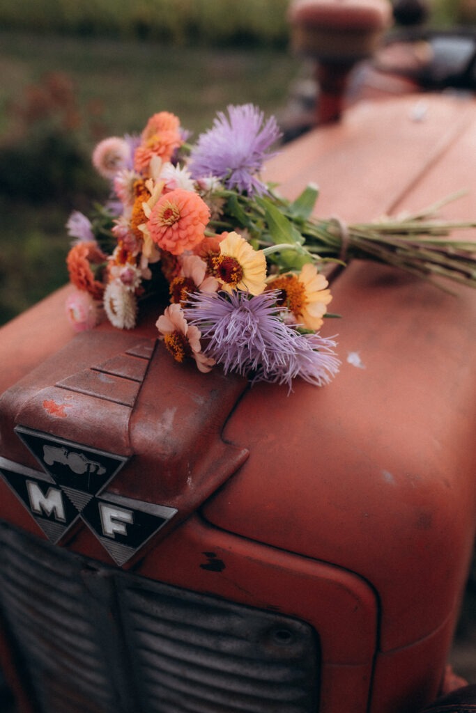 Bouquet de fleurs colorées déposées sur tracteur vintage.